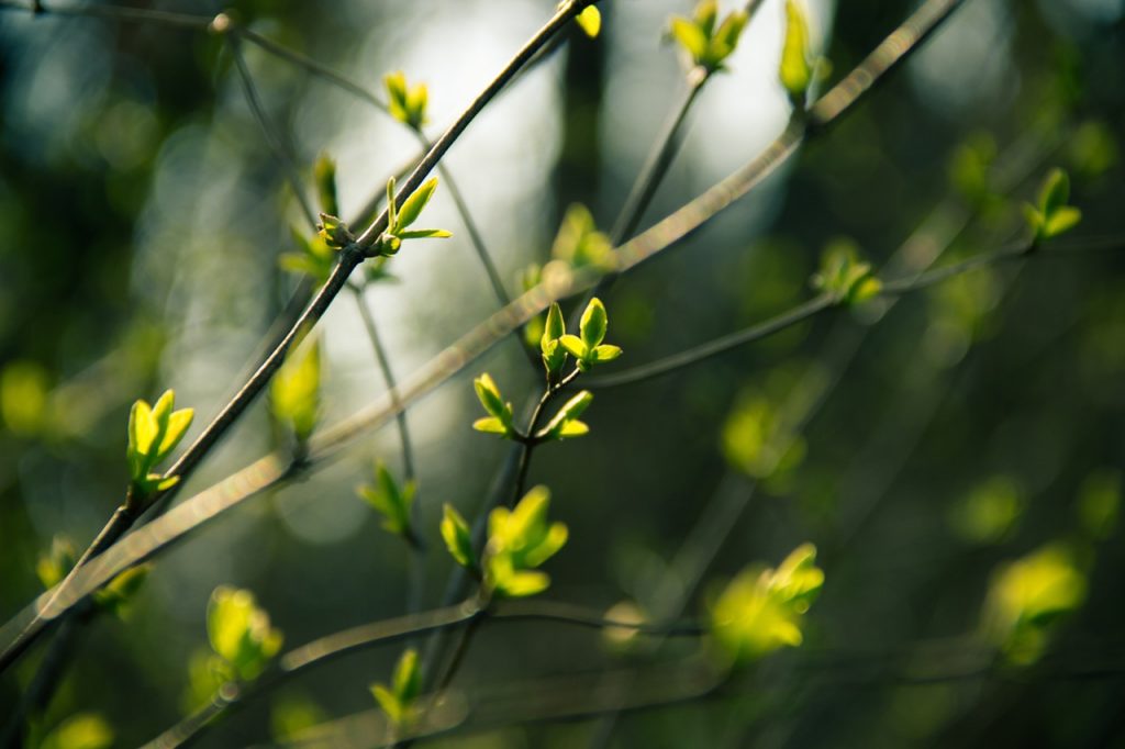 Frühling Urlaub Thüringen